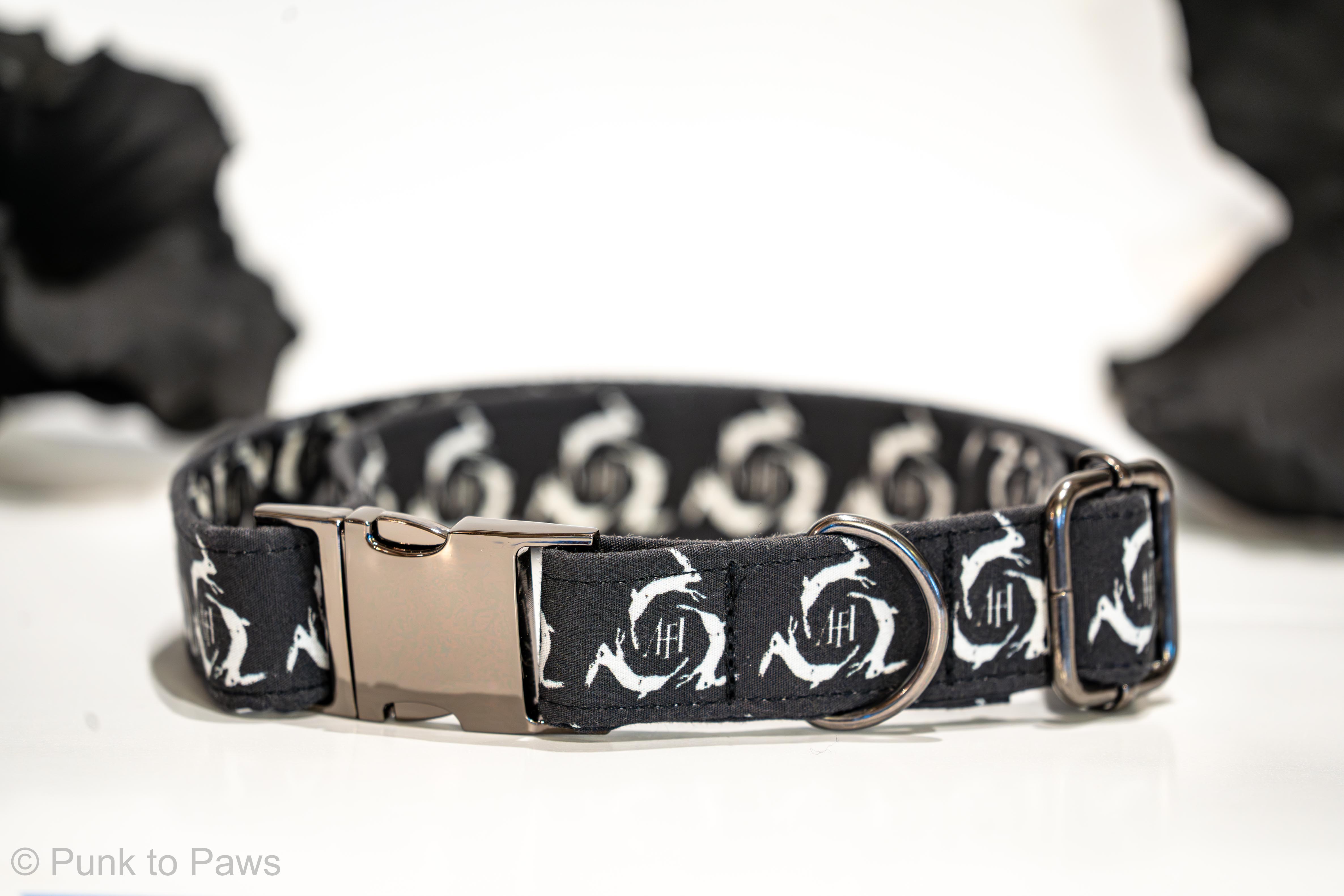 AFI Dog Collar – Punk to Paws