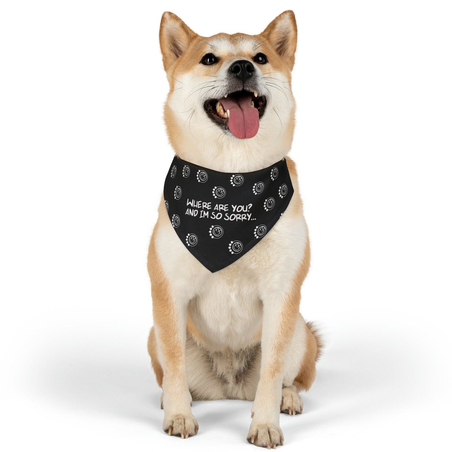 Blink-182 Pet Bandana Collar